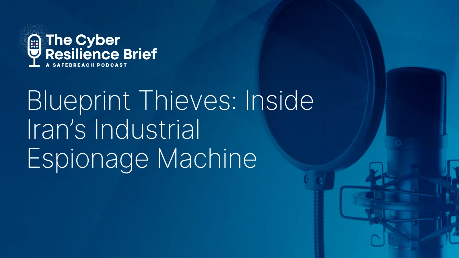 Iran Blueprint thieves